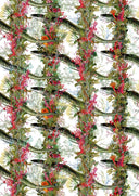 Eel Colonnade Wallpaper PRE ORDER