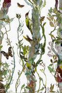 Indie Wood Wallpaper PRE ORDER