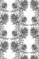 Thistle Wallpaper PRE ORDER