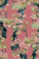 Wee Pinyin Wallpaper PRE ORDER