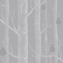 Woods & Pears Wallpaper PRE ORDER
