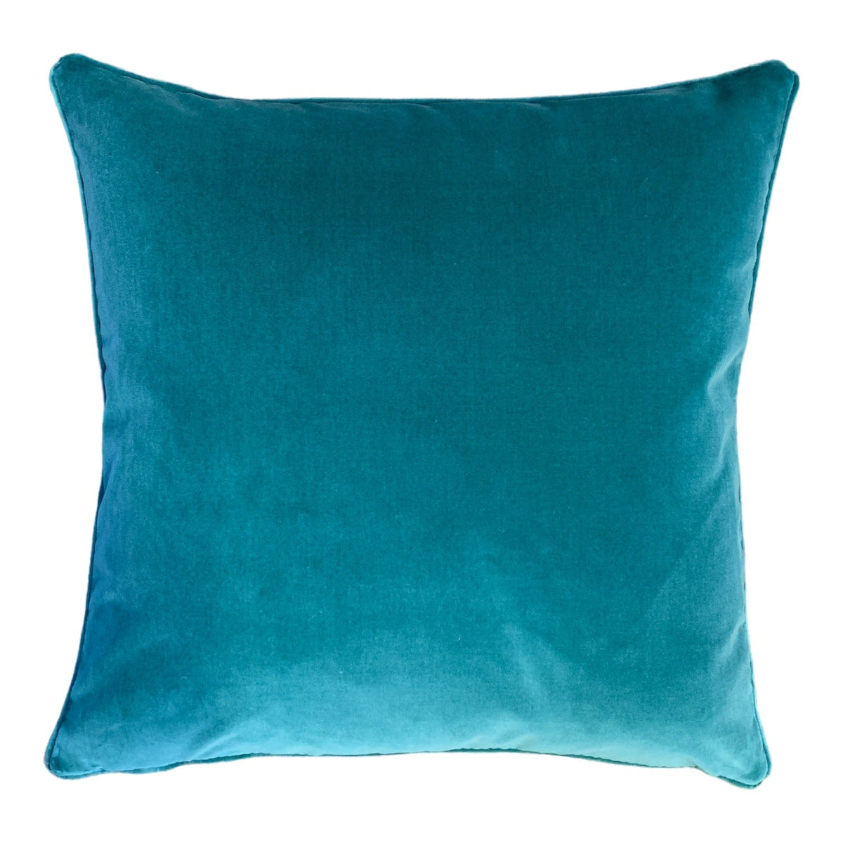    Seasalt-Cotton-Velvet-55x55cm-Piped-Cushion-Little-and-Fox