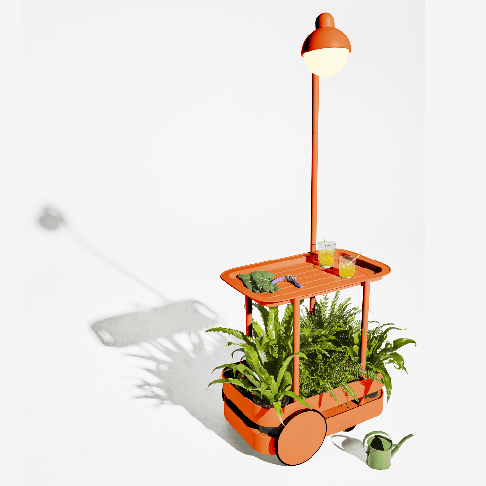 tangerine-jolly-trolley_Little-and-fox