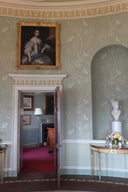 Birdbranch Stripe Wallpaper PRE ORDER