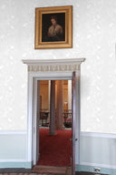 Birdbranch Stripe Wallpaper PRE ORDER
