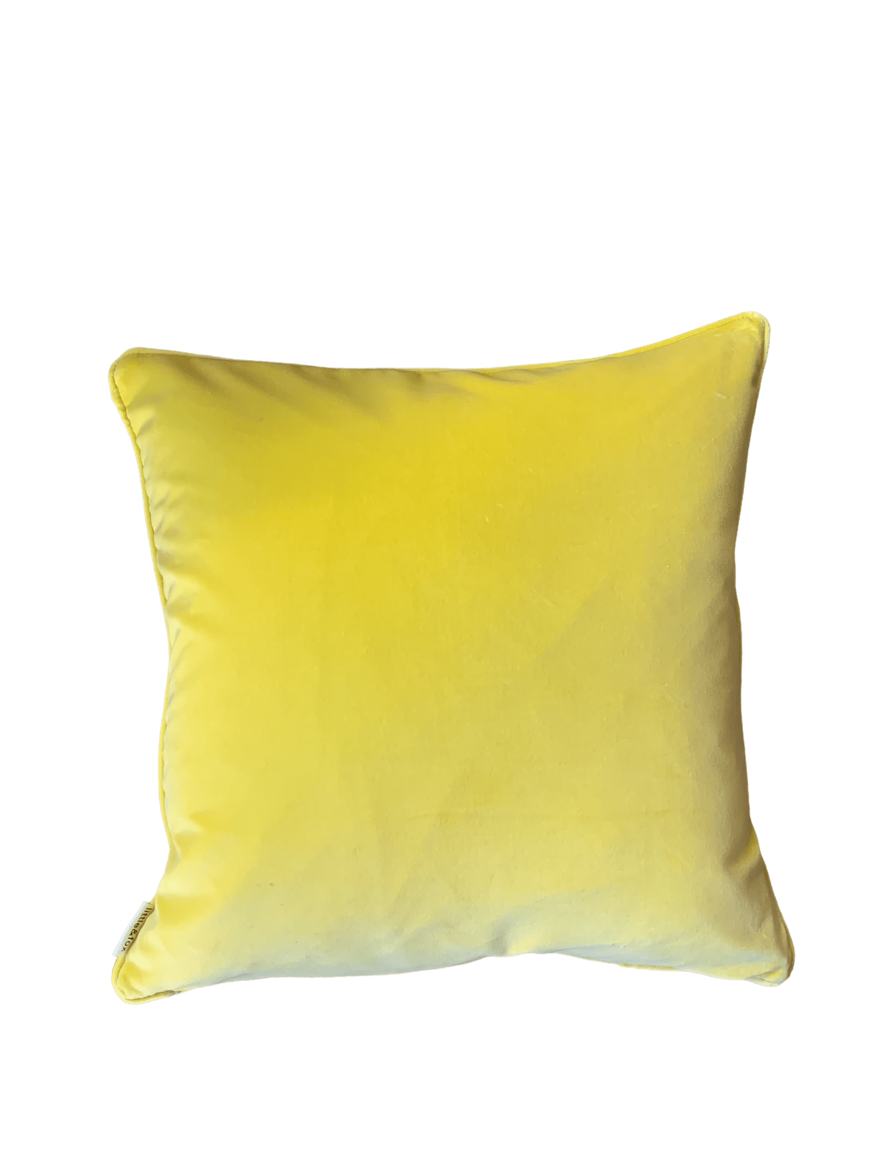 Buttercup Cotton Velvet Piped 55x55cm Cushion