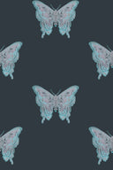 Butterfly Wallpaper PRE ORDER