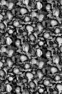 Coral Blotch Wallpaper PRE ORDER