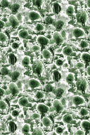 Coral Blotch Wallpaper PRE ORDER