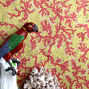 Coral Cork Wallpaper PRE ORDER