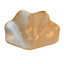 Crushed Shell Mini Clam Bowl Little and Fox