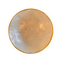 Crushed Shell Bowl