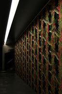 Eel Colonnade Wallpaper PRE ORDER