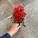 faux-pepper-berry-foliage_Little-and-fox