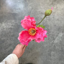 faux-pink-iceland-poppy-flower_Little-and-fox