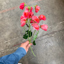 faux-salmon-tall-sweetpea-flower_Little-and-Fox