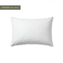 55x40cm Feather Cushion Inner