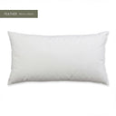 90x40cm Feather Cushion Inner