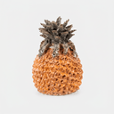 Orange Pineapple 23cm Vase