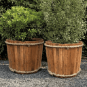 Teak Harvest Drum
