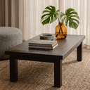 Dark Teak Coffee Table