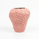 Pink Strawberry 25.5cm Vase