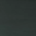 Mystic Forest Velvet Fabric Little & Fox