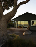 North.Tree.Colour.2026_07.jpg