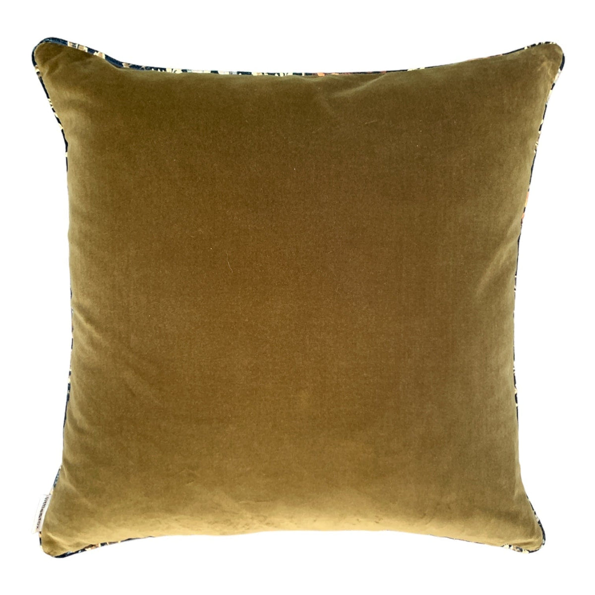 Opia Velvet 55x55cm Piped Cushion