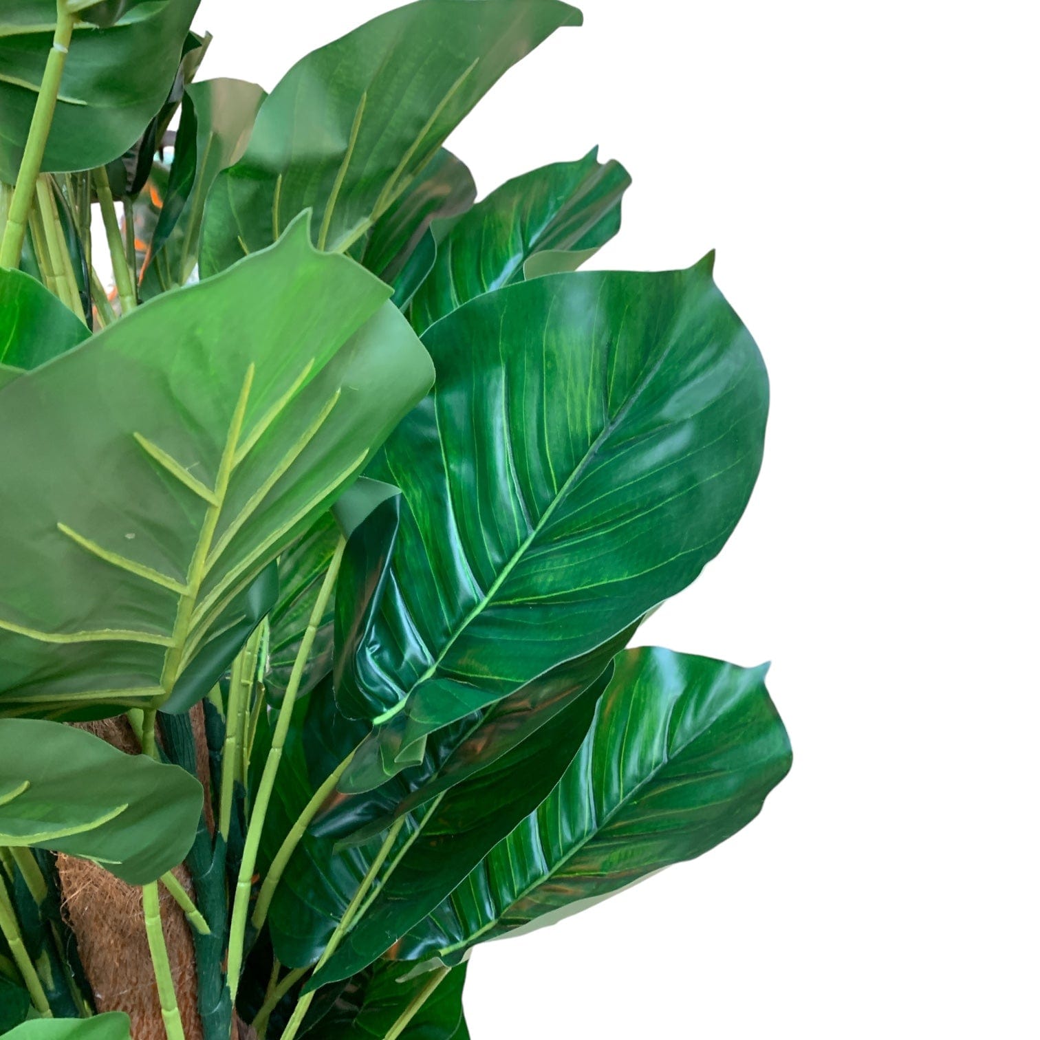 Faux Pothos Plant