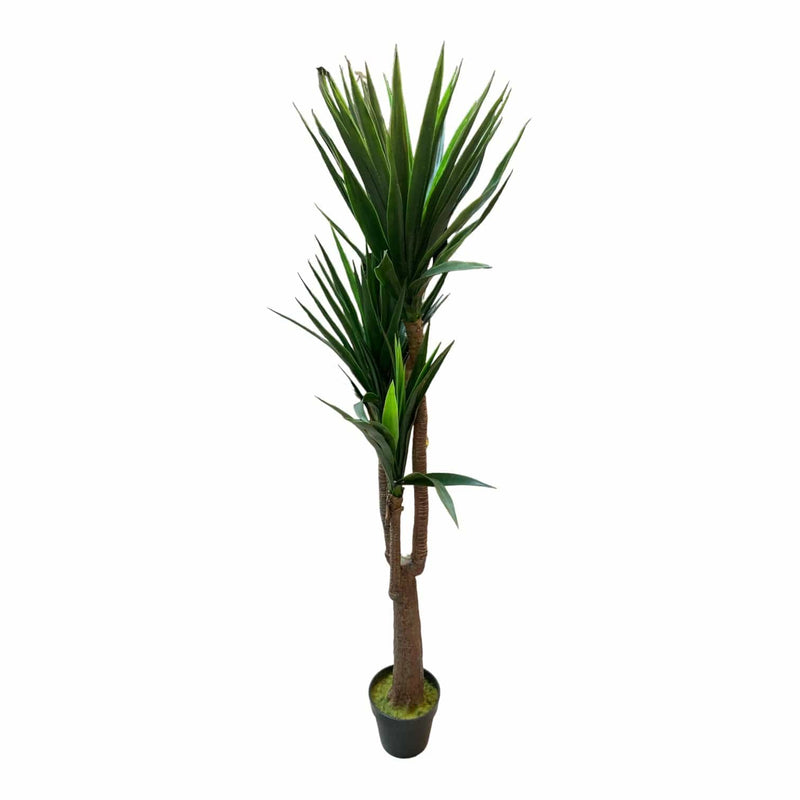 Faux Yucca Plant