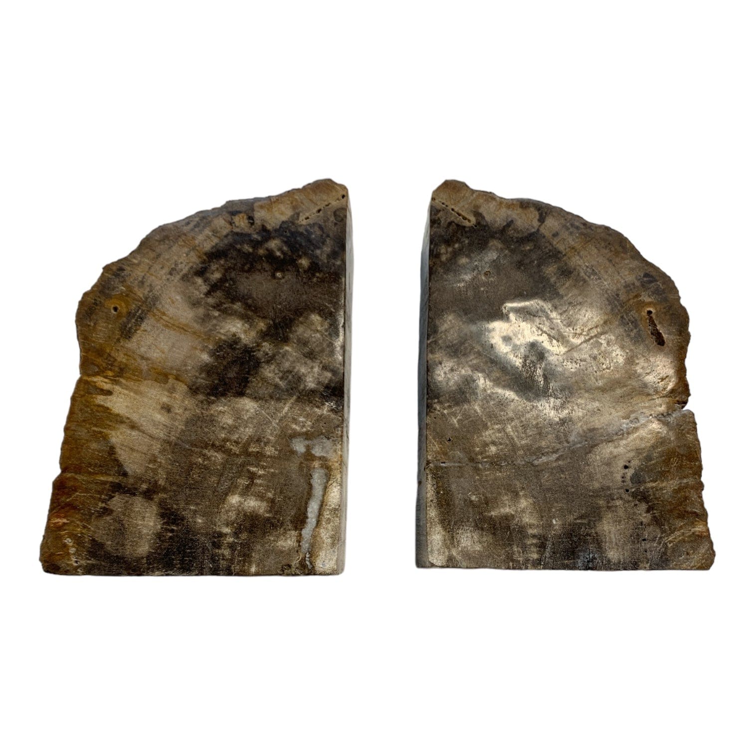 Petrified Wood Bookends