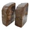 Petrified Wood Bookends