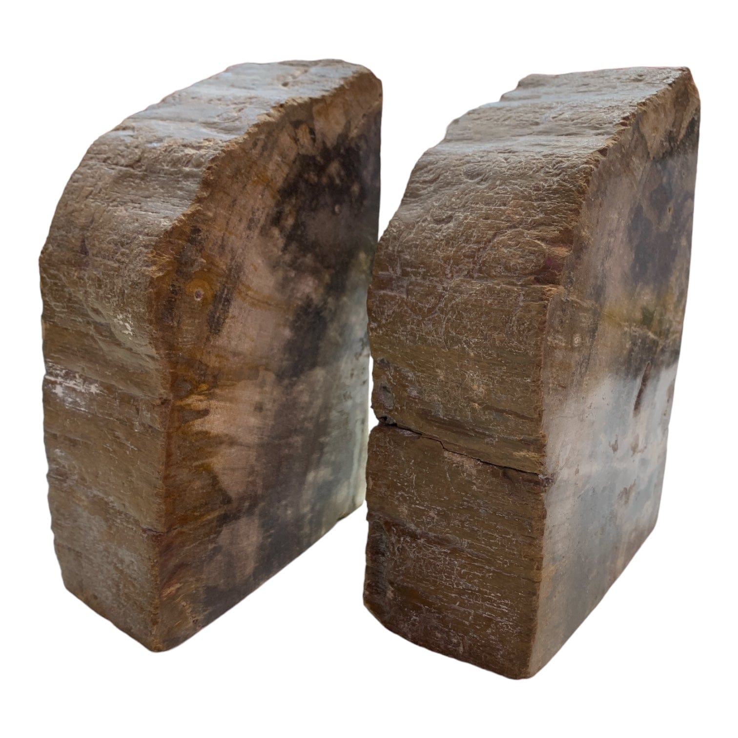 Petrified Wood Bookends