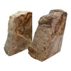 Petrified Wood Bookends