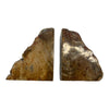 Petrified Wood Bookends