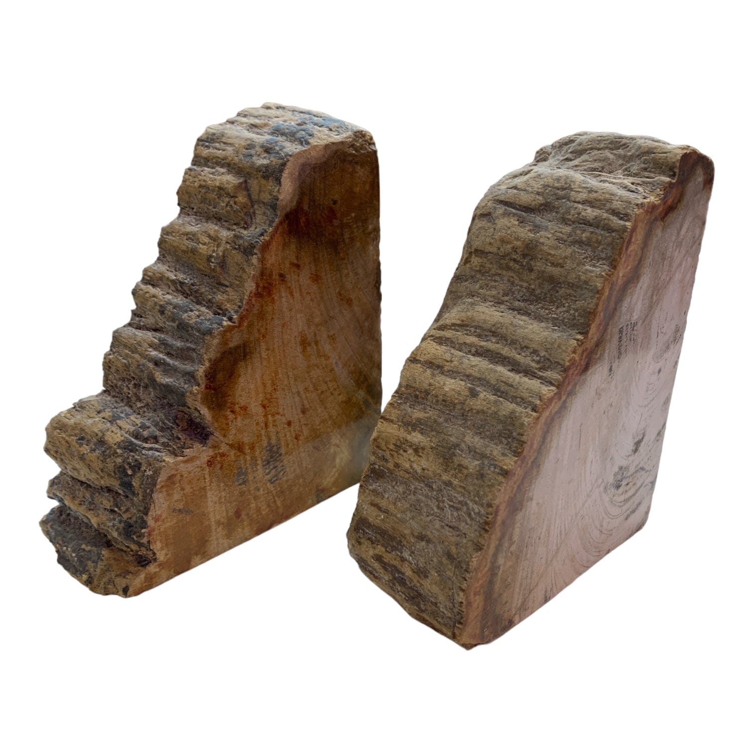 Petrified Wood Bookends