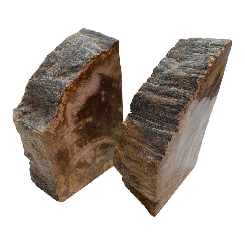 Petrified Wood Bookends