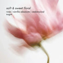 Rose Crush Soy Candle Small