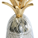 Pineapple Storage Vessel