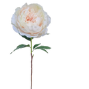 Faux Seashell Queen Peony Flower