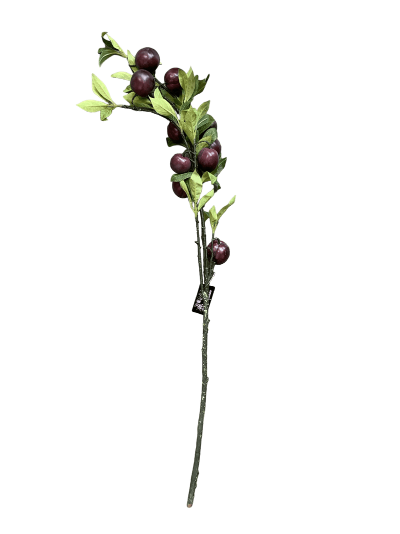 Tall-Plum-Branch-Little-and-Fox