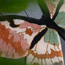 a-kaleidoscope-of-papillons-hand-tufted-rugs-pre-order-5_Little-