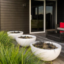 White planters with greenery on a wooden deck next to a house.