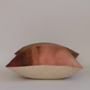 Blush & Pistachio 50x50cm Cushion