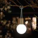 Glowing spherical light hanging from a branch at night
