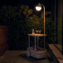 Bone Jolly Trolley PRE ORDER