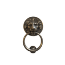 brass-lion-head-door-knocker_Little-and-Fox