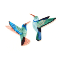 Canopy Hummingbird Wall Art Set