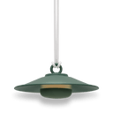 chap-o-green-lamp_Little-and-fox
